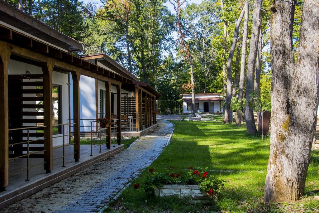 Elmona Villas กัมเชีย ภายนอก รูปภาพ